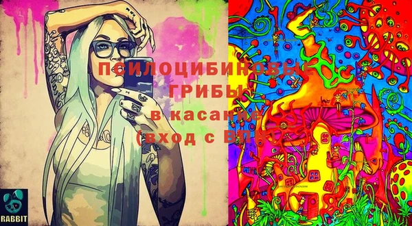 амф Алексеевка
