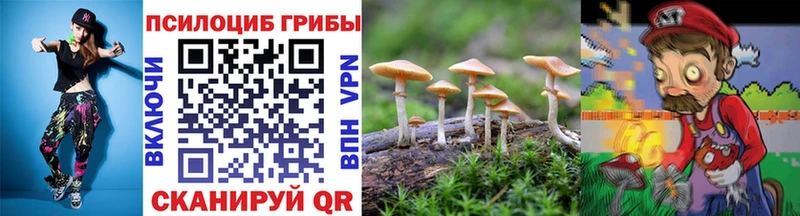 kraken ТОР  Камызяк  Псилоцибиновые грибы прущие грибы 