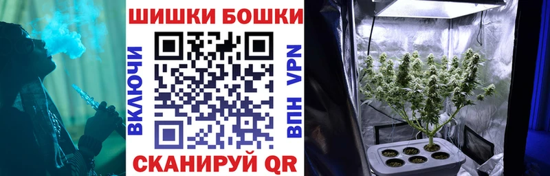 Каннабис OG Kush  дарнет шоп  Камызяк 
